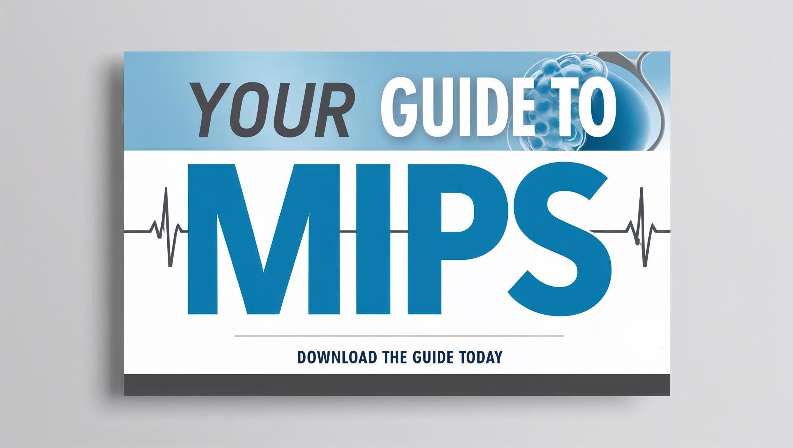Your Guide to MIPS